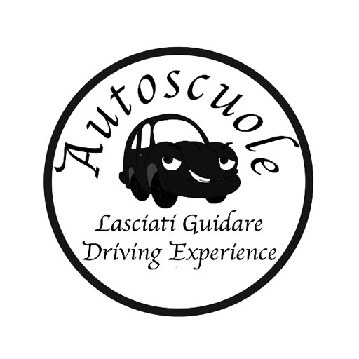 SIDA DRIVE - simulatore di guida -